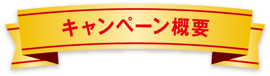 キャンペーン概要